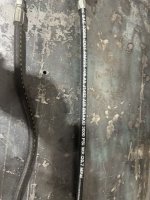 IMG_3169.jpeg IMG_3169.jpeg