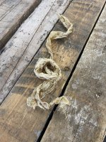 IMG_7047.jpeg