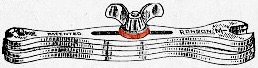 IMG_1190.jpeg