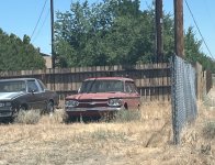 IMG_9023.jpeg IMG_9023.jpeg