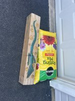 IMG_2640.jpeg