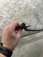 IMG_3633.jpeg IMG_3633.jpeg