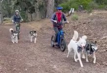 Scootering-M.jpg Scootering-M.jpg