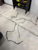 IMG_4011.jpeg