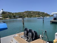 IMG_8280.jpeg