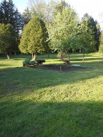 site3.jpg