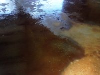 CLEAN AND STAIN FLOORS 015.jpg