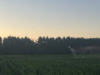 IMG_6997.jpeg IMG_6997.jpeg