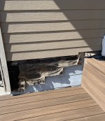 IMG_1364.jpeg