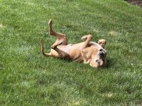 IMG_1704.jpeg