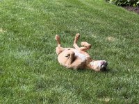 IMG_1703.jpeg