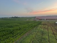 IMG_7036.jpeg