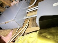 IMG_2099.jpeg