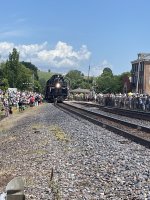 IMG_4184.jpeg