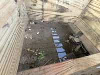 IMG_9951.jpeg