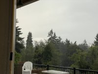 IMG_1381.jpeg