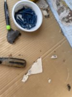 IMG_1387.jpeg