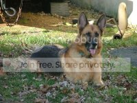 12-06BRITTA0007.jpg