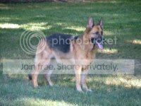 8-06BRITTA0011.jpg
