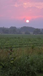 20260721_064335.jpg 20260721_064335.jpg