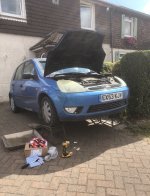 IMG_7356.jpeg