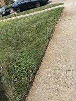 IMG_7749.jpeg