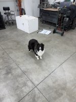 IMG_8499.jpeg