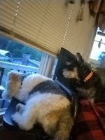 IMG_20260726_203253.jpg