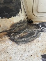 IMG_8855.jpeg