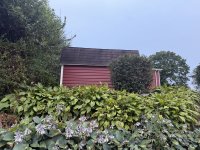 IMG_4220.jpeg