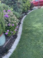 IMG_1423.jpeg