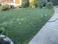 IMG_1424.jpeg IMG_1424.jpeg
