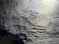 IMG_2322.jpeg