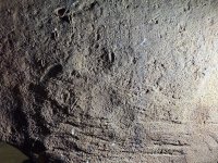 IMG_2324.jpeg