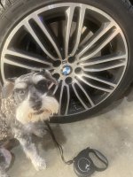 IMG_8485.jpeg