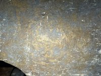 IMG_2417.jpeg