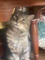 IMG_9805.jpeg