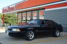 mustang 018.JPG mustang 018.JPG