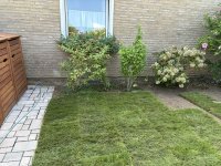 IMG_0210.jpeg