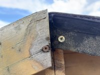 IMG_0265.jpeg
