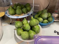 IMG_1467.jpeg IMG_1467.jpeg