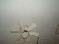DSCF2475.jpg
