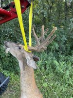 IMG_1534.jpeg IMG_1534.jpeg