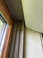 IMG_0973.jpeg IMG_0973.jpeg