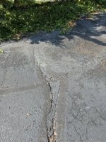 IMG_8413.jpeg IMG_8413.jpeg