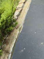 IMG_8417.jpeg IMG_8417.jpeg