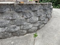 IMG_1492.jpeg IMG_1492.jpeg