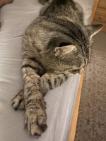 IMG_0115.jpeg