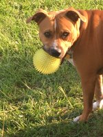 IMG_1829.jpeg