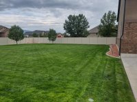 lawn4.jpg